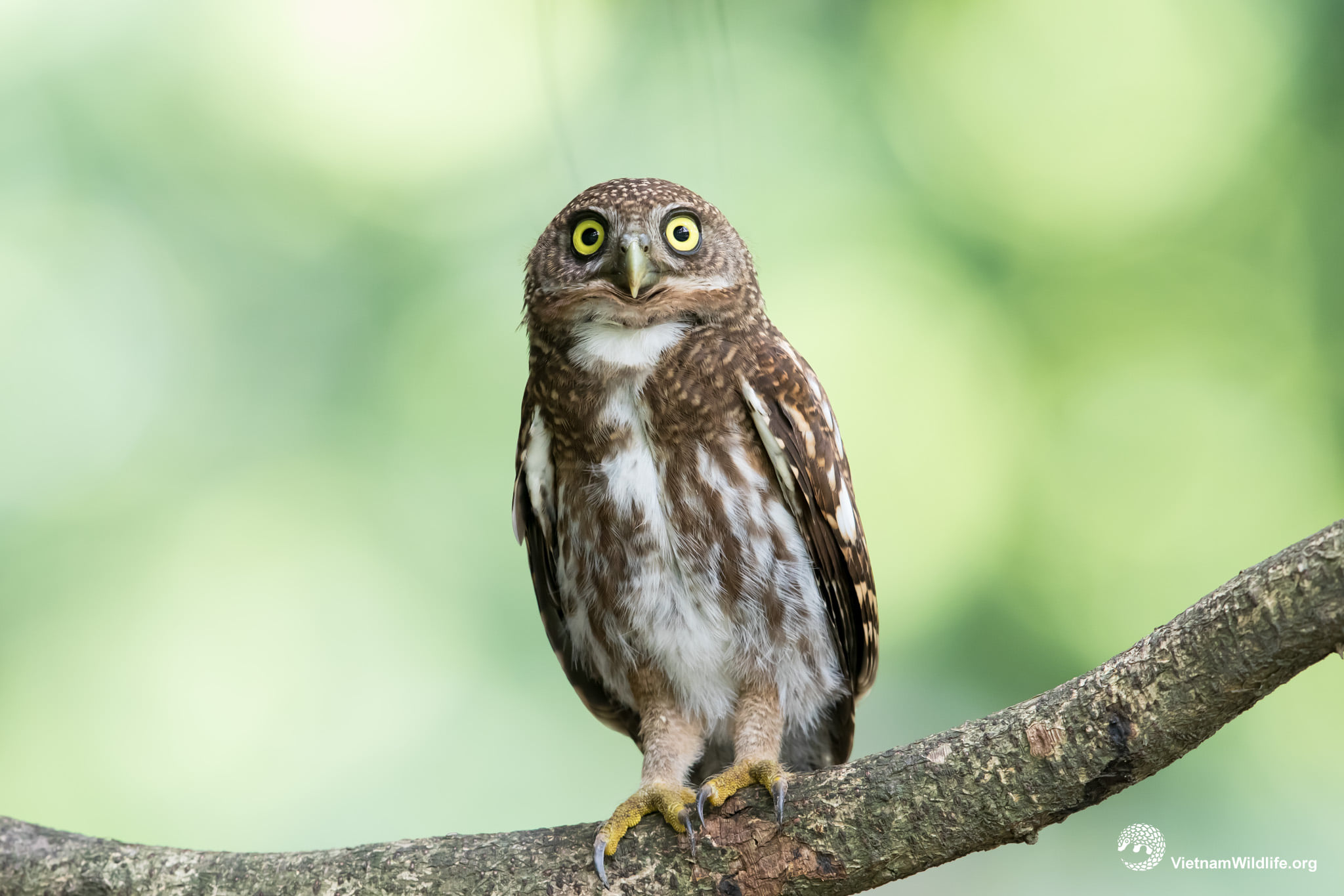 75424609_2919497211513043_88072016260427745_o