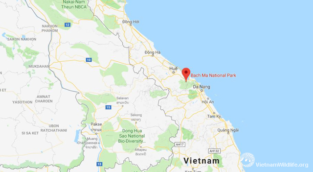 Map-VQG-Bach-Ma_L640