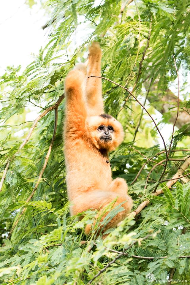 31337751_2129311487302884_2958303087560753152_n