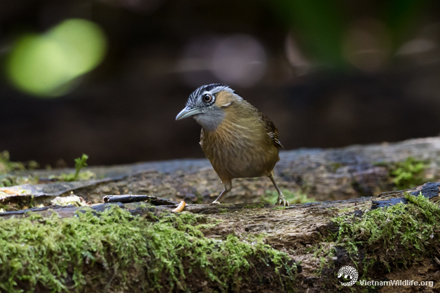 20181212_bidoup_t7b03699_l640