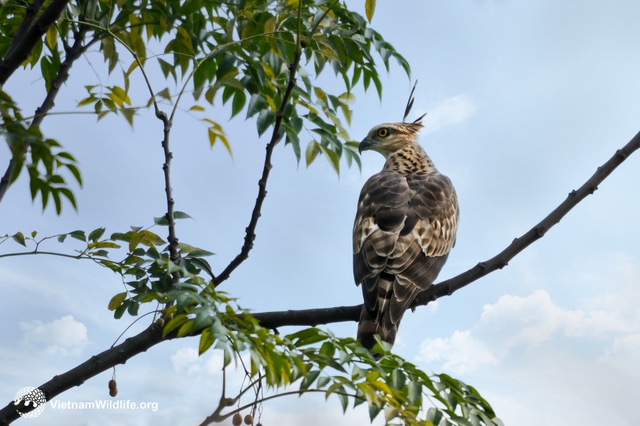 20181222_vuonnhan_t9b00673_fullsize-6