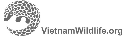 VietnamWildlife.org-logo-grey-transparent.jpg