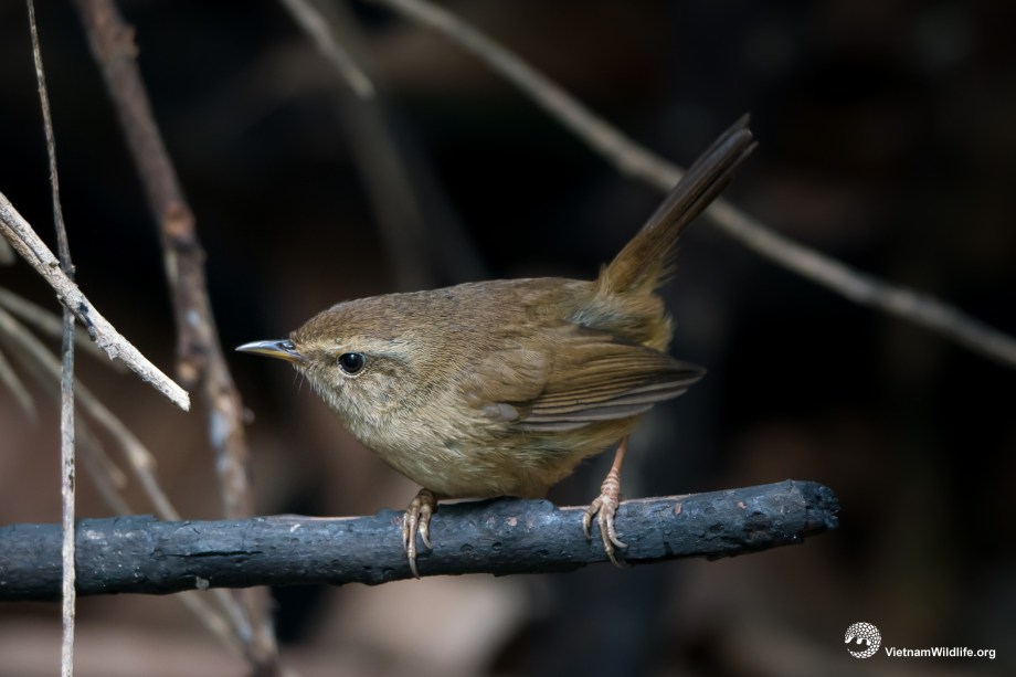 20191224_ThuyLinh_T9H05074_L2048