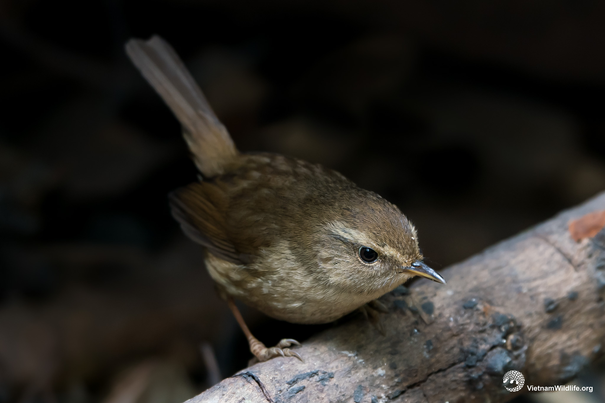 20191224_ThuyLinh_T9H05250_L2048