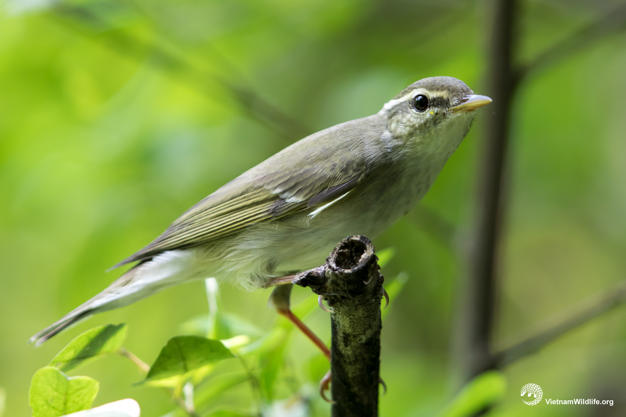 P5DA9508_L2048